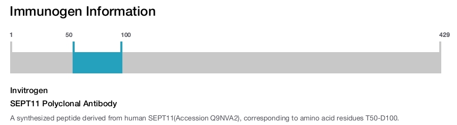 SEPT11 Polyclonal Antibody