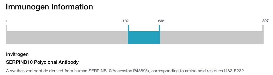 SERPINB10 Polyclonal Antibody
