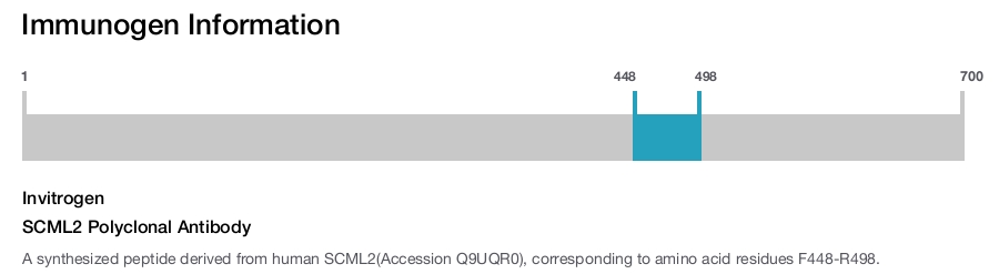 SCML2 Polyclonal Antibody