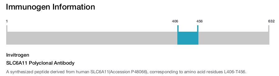 SLC6A11 Polyclonal Antibody