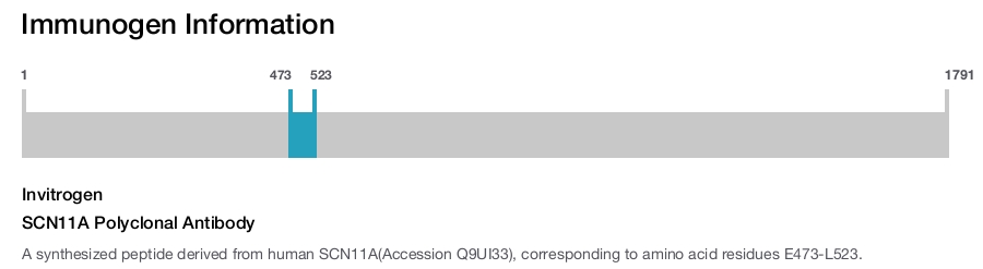 SCN11A Polyclonal Antibody