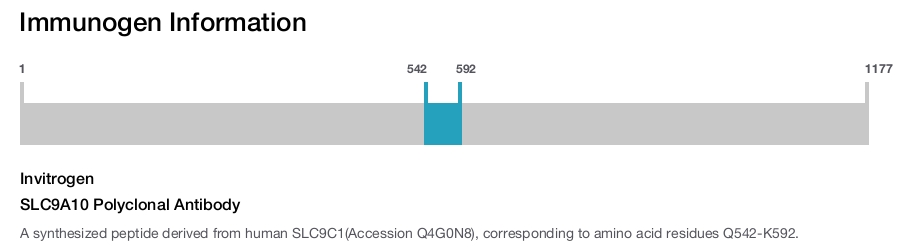 SLC9A10 Polyclonal Antibody