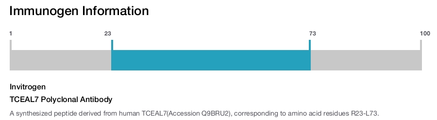 TCEAL7 Polyclonal Antibody