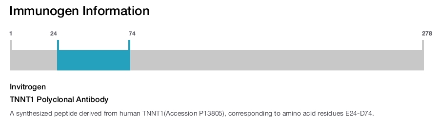 TNNT1 Polyclonal Antibody