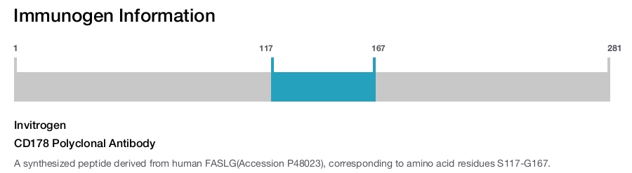 CD178 Polyclonal Antibody