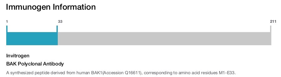 BAK Polyclonal Antibody