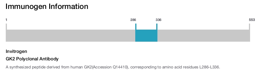 GK2 Polyclonal Antibody