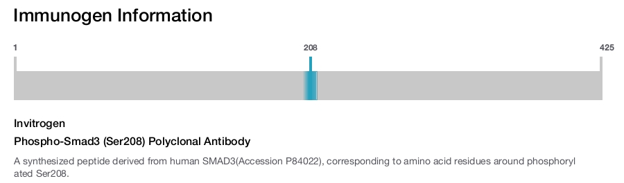 Phospho-Smad3 (Ser208) Polyclonal Antibody