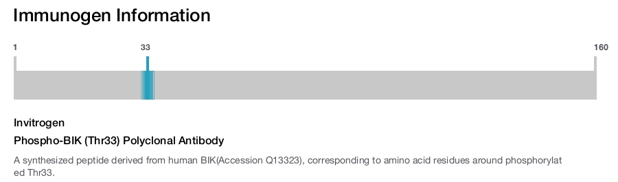 Phospho-BIK (Thr33) Polyclonal Antibody
