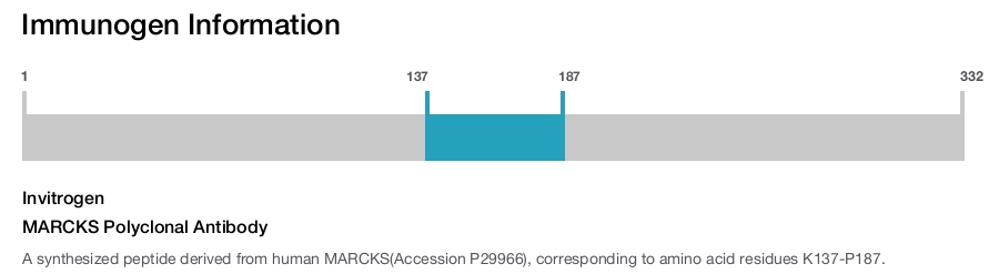 MARCKS Polyclonal Antibody