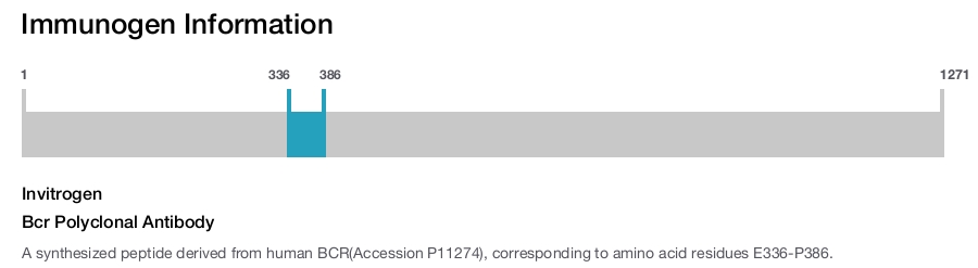 Bcr Polyclonal Antibody
