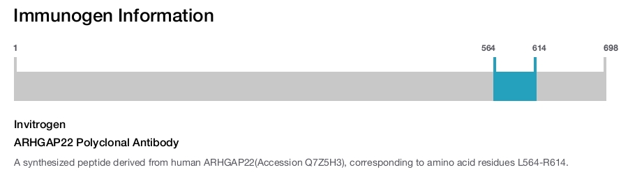 ARHGAP22 Polyclonal Antibody