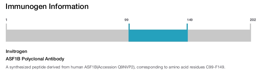 ASF1B Polyclonal Antibody