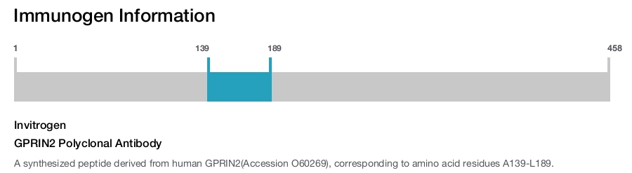 GPRIN2 Polyclonal Antibody