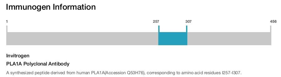 PLA1A Polyclonal Antibody