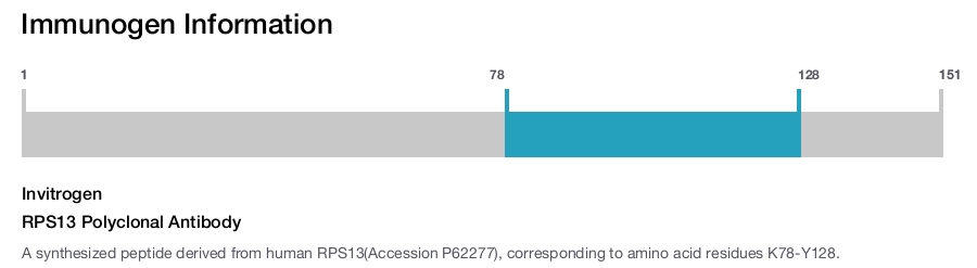 RPS13 Polyclonal Antibody