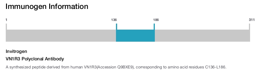 VN1R3 Polyclonal Antibody