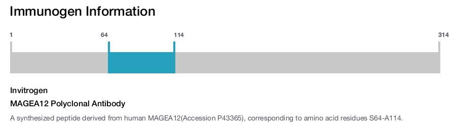 MAGEA12 Polyclonal Antibody
