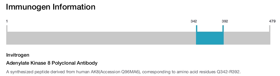 Adenylate Kinase 8 Polyclonal Antibody