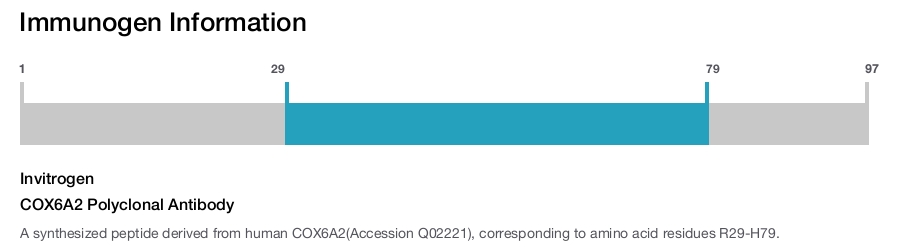 COX6A2 Polyclonal Antibody