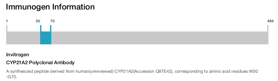 CYP21A2 Polyclonal Antibody