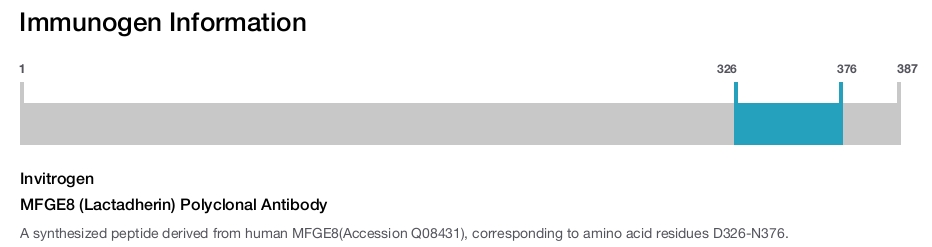 MFGE8 (Lactadherin) Polyclonal Antibody