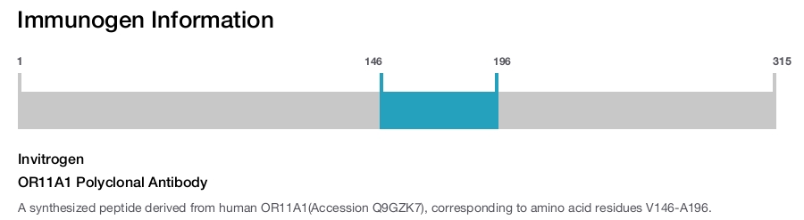 OR11A1 Polyclonal Antibody