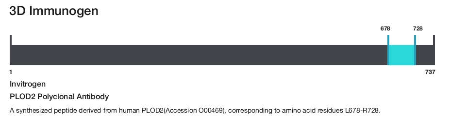 PLOD2 Polyclonal Antibody