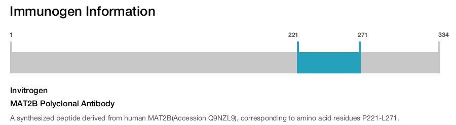 MAT2B Polyclonal Antibody