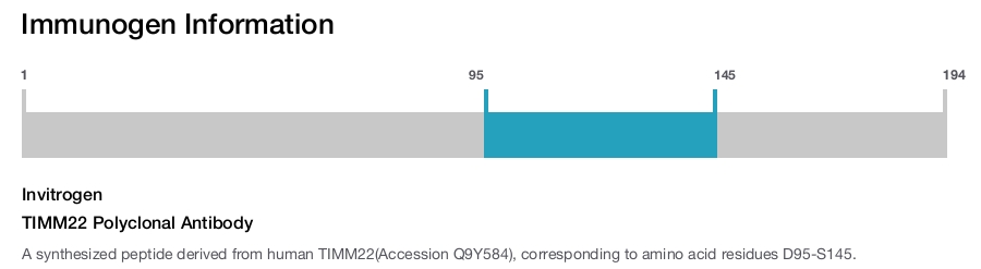 TIMM22 Polyclonal Antibody