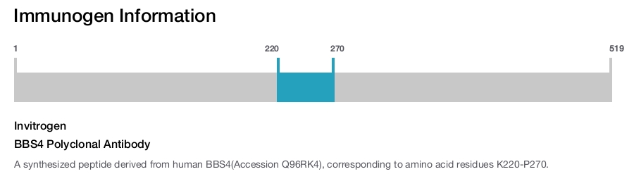 BBS4 Polyclonal Antibody