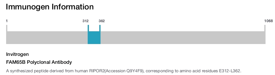 FAM65B Polyclonal Antibody