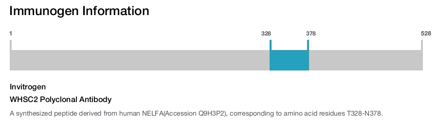 WHSC2 Polyclonal Antibody