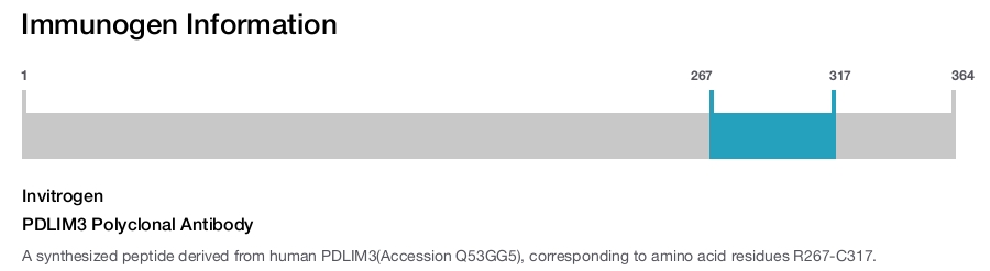 PDLIM3 Polyclonal Antibody