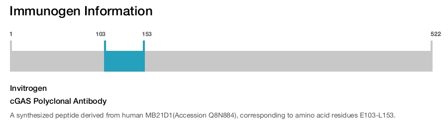 cGAS Polyclonal Antibody