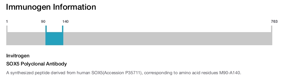 SOX5 Polyclonal Antibody