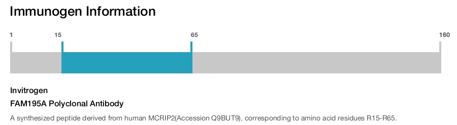 FAM195A Polyclonal Antibody