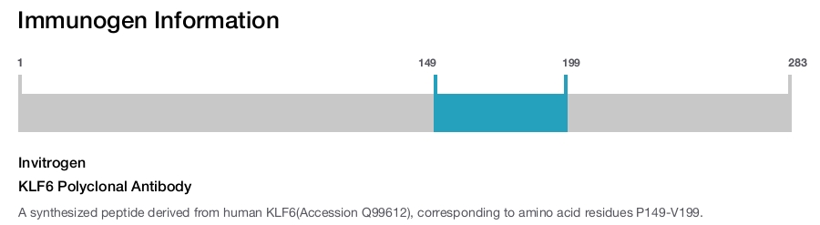 KLF6 Polyclonal Antibody