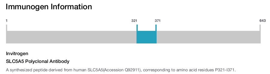 SLC5A5 Polyclonal Antibody