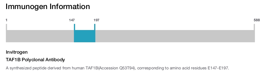 TAF1B Polyclonal Antibody