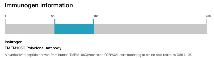 TMEM106C Polyclonal Antibody