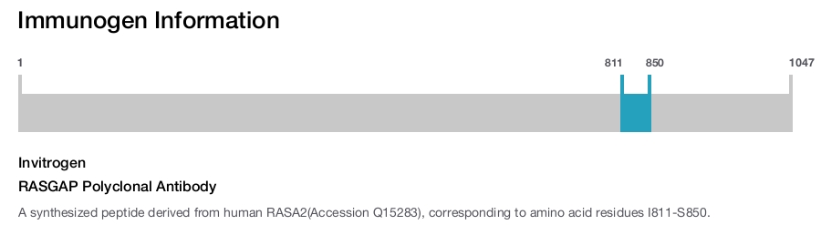 RASGAP Polyclonal Antibody