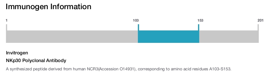 NKp30 Polyclonal Antibody