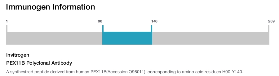 PEX11B Polyclonal Antibody