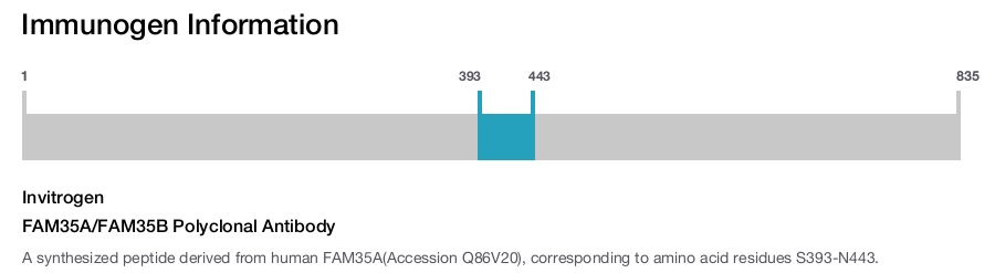 FAM35A/FAM35B Polyclonal Antibody