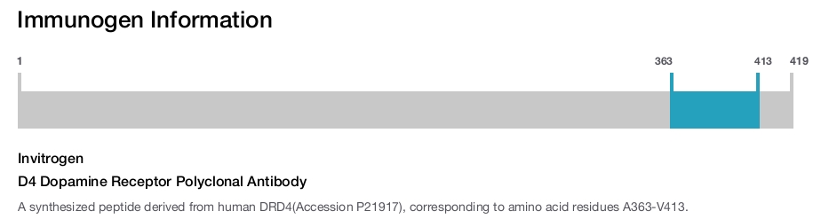 D4 Dopamine Receptor Polyclonal Antibody