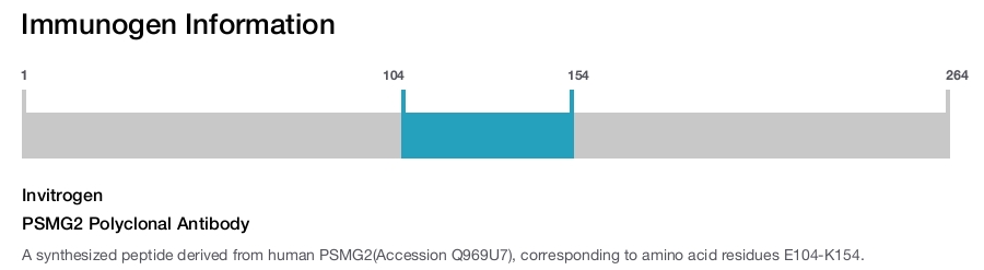 PSMG2 Polyclonal Antibody