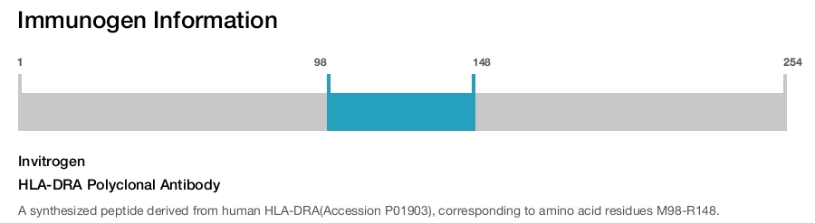 HLA-DRA Polyclonal Antibody