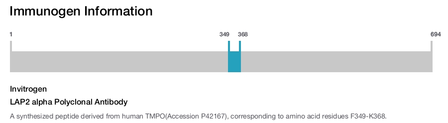 LAP2 alpha Polyclonal Antibody