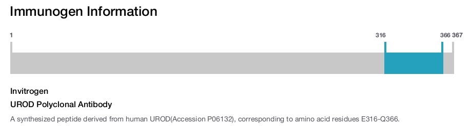 UROD Polyclonal Antibody